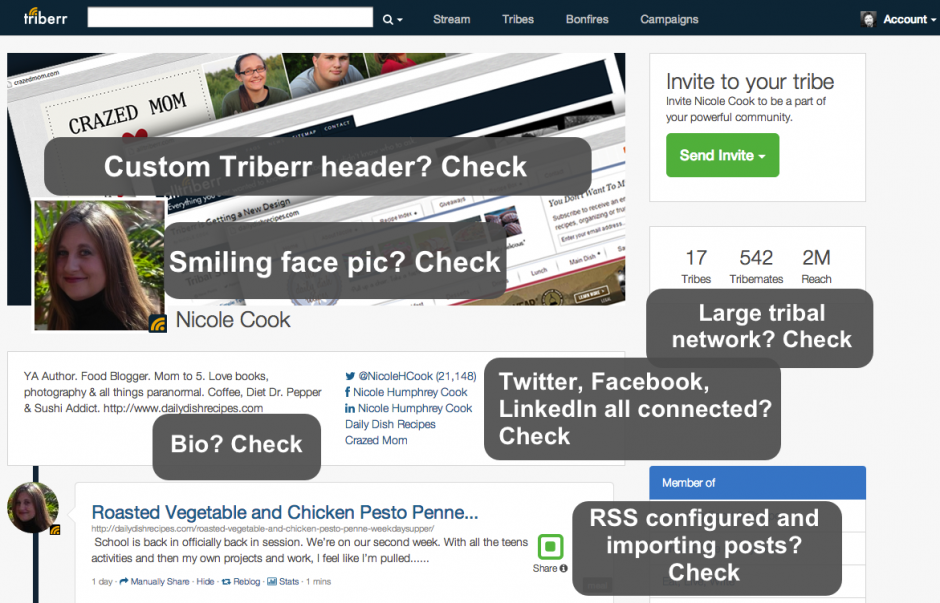 triberr profile check